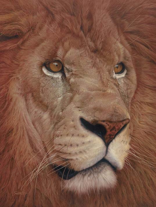 Daniel Smith Uncommon Valor Lion