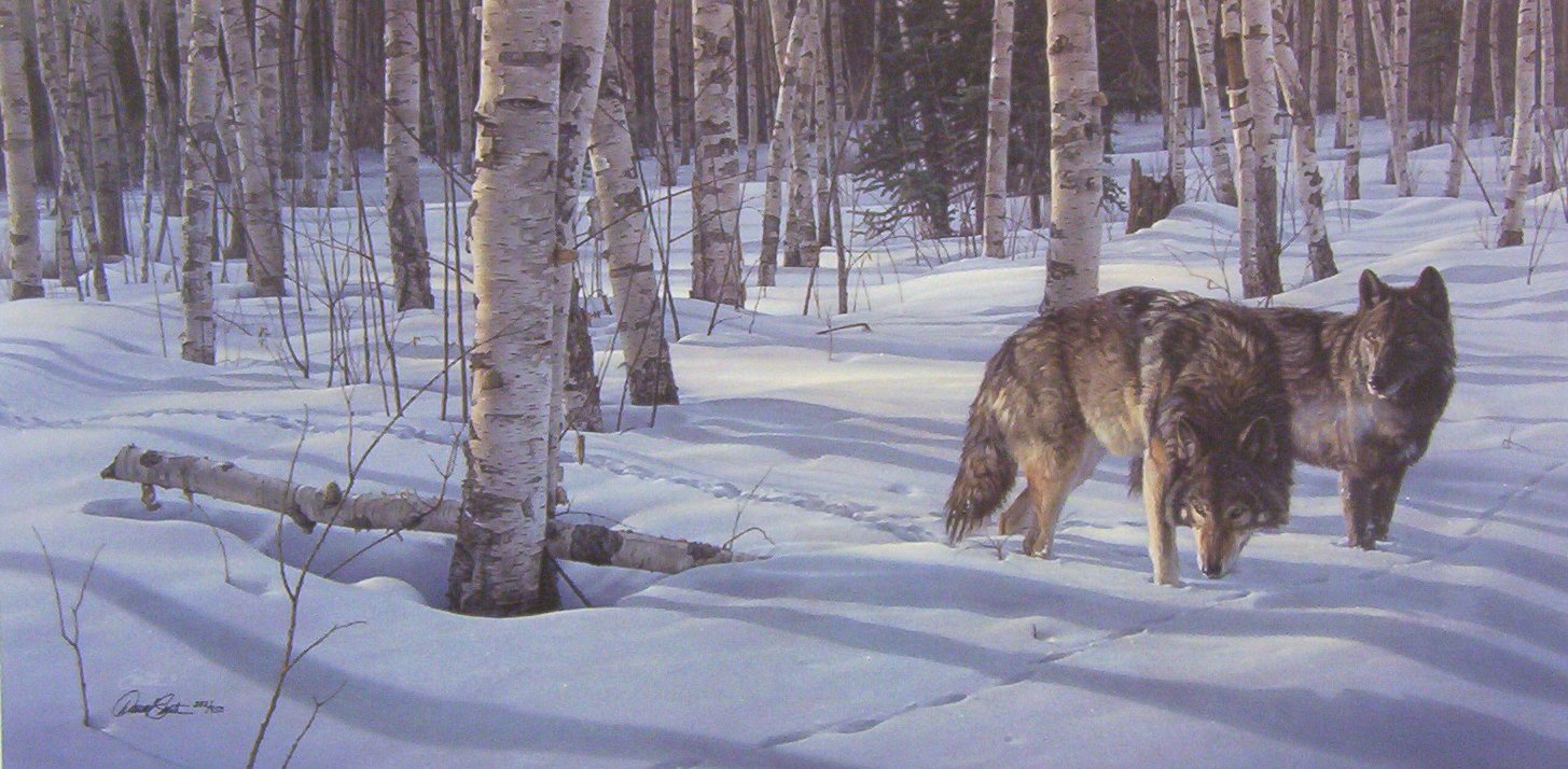 Daniel Smith When Paths Cross Wolves