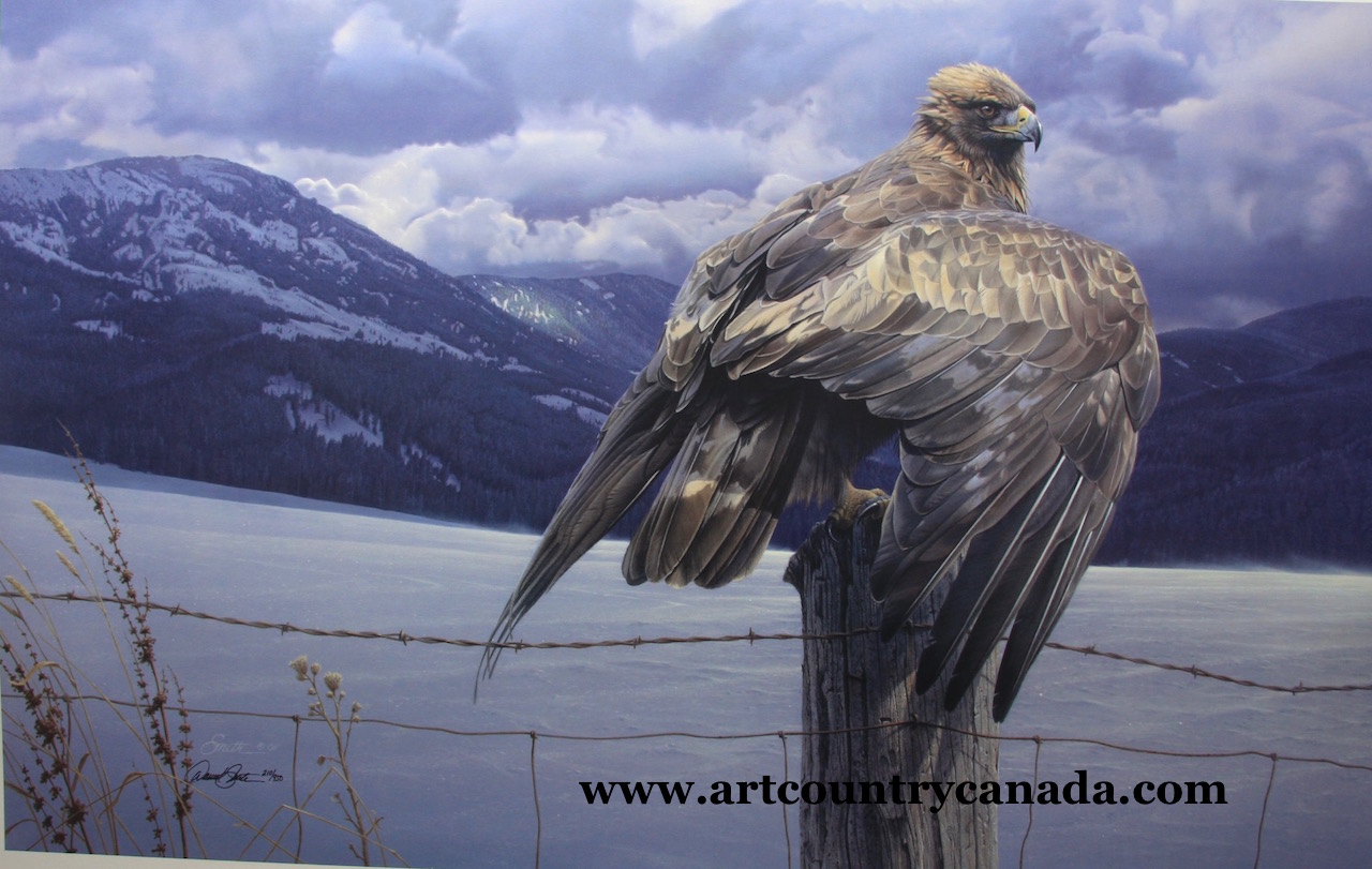 Daniel Smith Wings of Gold 