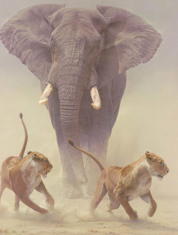 Daniel Smith Zero Tolerance Elephant and Lions