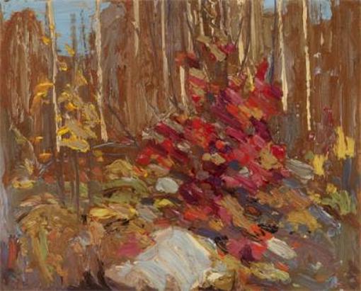 Tom Thomson The Red Maple, Algonquin Park, 1916