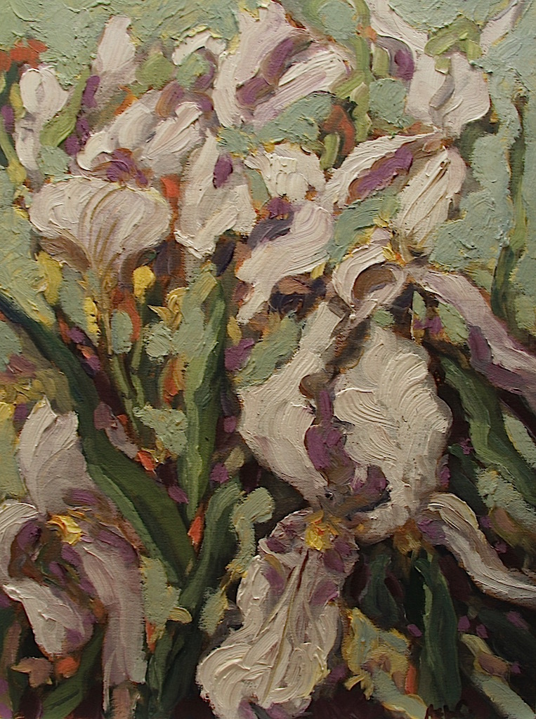 An Willsie Irises 