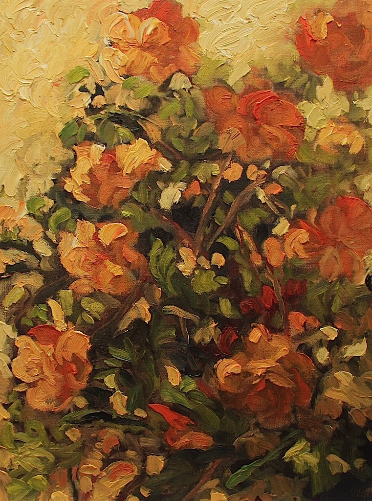 Ann Willsie Orange Begonias 